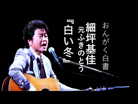 細坪基佳さん | チーム八ちゃん