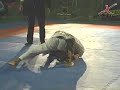 Bernardo Pitel x Bruno Malfacine by X-COMBAT