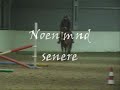 Showjumping Showjumping