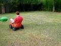 Backyard fun 5