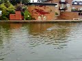 RC speed boat mash up #5 RC speed boat mash up #5