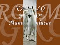 CABALLO NEGRO - Manolo Sanlucar