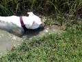 shirleymudbath.mp4