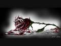 la oreja de van Gogh - Rosas