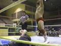 videos de WWC: Especial Dino Bravo
