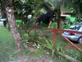 parkour puerto viejo, costa rica