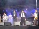 Bollox Bloose Brothers Revue Bollox Bloose Brothers Revue