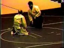 NY Aikikai 20th Demo - Part 7 of 8