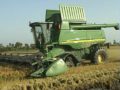 Cosechando Arroz con STS en Espa�a