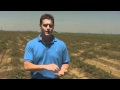 Is There A Different Between Conventional And Organic Produce? 
