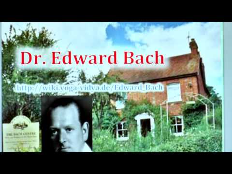 38 Bachblüten und ihre Wirkung