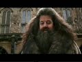 Hallt die Fresse Hagrid