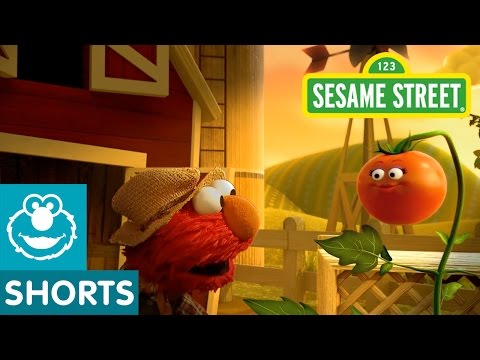 Sesame Street: Elmo The Musical Tomato (Preview)