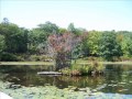 Harriman State Park