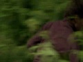 Kyle XY : Kyle - \"Memory\"
