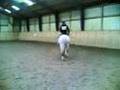 Springen mit Felice