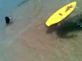 videos de Julius skim board stack