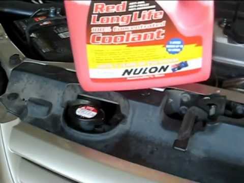 how to bleed civic radiator