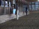 Heartland Stables Junior Horse English Pleasure