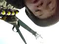 why-british-paras-are-best-look-how-low-they-jump.html