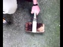 Strength Demonstration of Technox Zirconia Ceramic