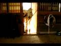 videos de Child Clicker Trains 15 Year Old Pony to Wave and Shake Her Head