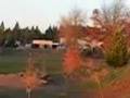 Monicas dog park run!
