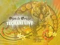 trailer del dvd techar� live de ojos de brujo. directo, documental, extras... realizaci�n: aurora sulli, producci�n: diquela records, arco y flecha.
