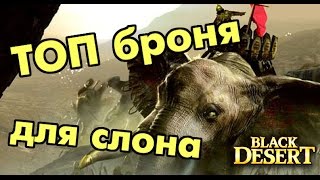 Black Desert (RU) - Прокачай своего слона! Black Desert (RU) - Прокачай своего слона!