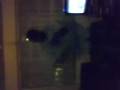videos de kd nunchakua.