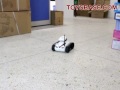 i-Spy Tank