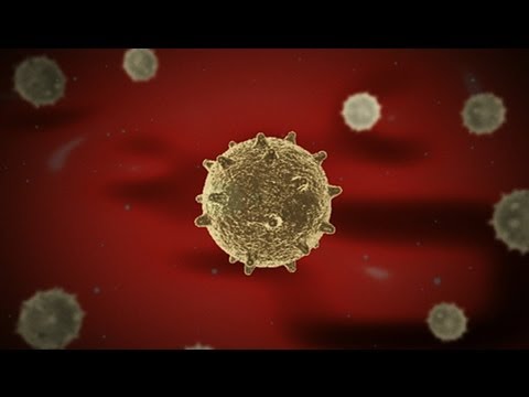 how to cure leukemia