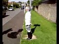 Tied to a lamp post