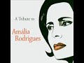 AMALIA RODRIGUES 