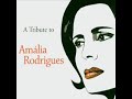 AMALIA RODRIGUES 