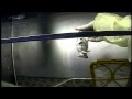University of Utah Lab Undercover Investigation