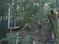 New Section of Cottage Trail
