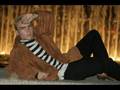 Luka Magnotta: Male Model Heart Throb