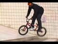 skavenger pop off 
street bmx 
gangsta 
new york 
bmx street animal bikes 
skavenger