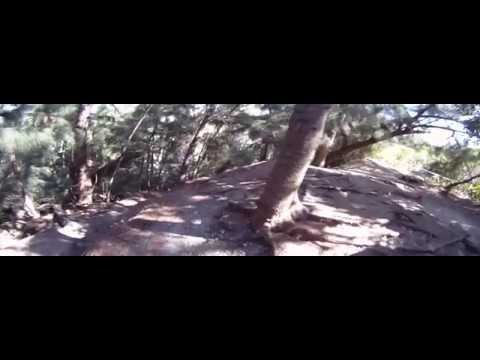 CC#5 Markham Park 30-39 Sunrise, FL