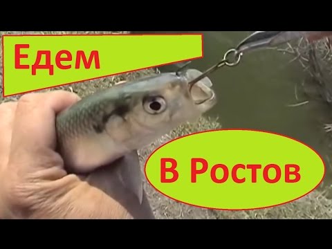нахлыст купить в ростове на дону нахлыст купить в ростове на дону