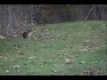 Varmint Hunting in Mississippi