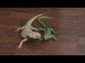Agama Brodata vs Legwan