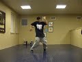 Lee choreography chris brown lil waynes verse