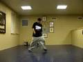 Lee choreography chris brown lil waynes verse