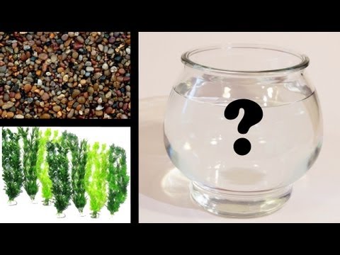 how to care goldfish in a bowl