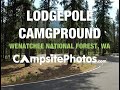 Lodgepole Campground, Wenatchee National ...