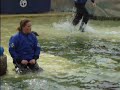 Dolphinarium (porpoise show)
