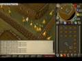 guide to 99 firemaking(the typhon way)
