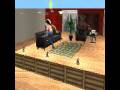 videos de venetian princess show